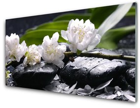 Quadro in vetro Pietre di fiori 100x50 cm