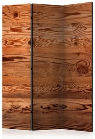 Paravento  Rustic Chic [Room Dividers]  Colore ---, Dimensioni e Misure 135x172