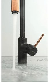 Deante BCA_B64M - Miscelatore per lavello ASTER nero/ottone