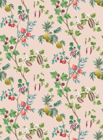 Osborne & Little Tapete Orchard - Blush