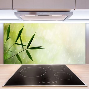 Pannello cucina paraschizzi Foglie di pioggia 100x50 cm