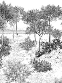Isidore Leroy Carta da parati panoramica Dune Gris - Gris - Bahnen 4/5/6