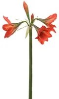 Set 2 Fiori Artificiali di Amaryllis Altezza 95 cm Arancio