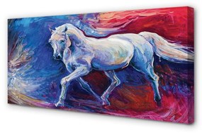 Stampa quadro su tela Cavallo 100x50 cm