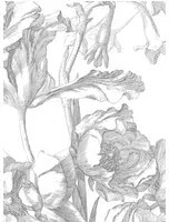 KEK Amsterdam Carta da parati panoramica Engraved Flowers 1 - Multicolor - 3.896m