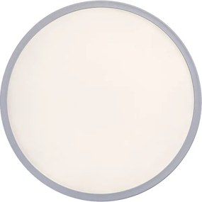 Rabalux 3428 - Plafoniera LED dimmerabile PAVEL LED/22W/230V