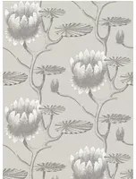 Summer Lily - Designtapete von Cole & Son - Taupe and White