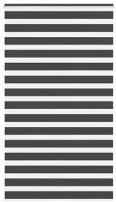 Tenda A Rullo Zebra Nero Larghezza Tessuto 125,9 Cm Poliestere /