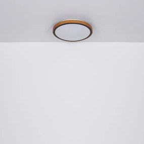 Globo 41764-12 - Plafoniera LED BRUNO LED/12W/230V 307 mm 3000/4500/6000K