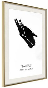 Poster  Zodiac: Taurus I  Cornice Quadri Cornice d'oro con passe-partout, Larghezza x Altezza Home decor 30x45