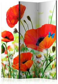 Paravento Country poppies [Room Dividers]