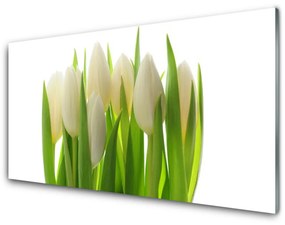 Quadro su vetro Tulipani Pianta Naturale 100x50 cm