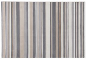 Tappeto grigio vintage righe 230x160 cm Step