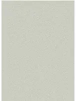 Tapete Pebble von Cole and Son - Pale Grey