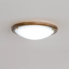 Rabalux 5417 - Plafoniera UFO E27/60W/230V