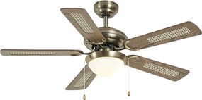 Ventilatore da soffitto ottone con stampa legno e rattan 105 cm con interruttore a tirante - Mistral Majas