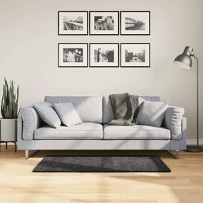 Tappeto Shaggy A Pelo Lungo Moderno Antracite 60x110 Cm /