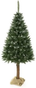 Albero di Natale su tronco 180 cm abete rosso