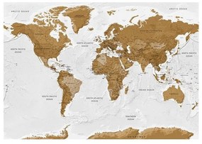 Fotomurale adesivo World Map: White Oceans