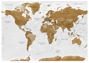 Fotomurale adesivo  World Map: White Oceans  Larghezza x Altezza Home decor 392x280