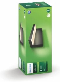 Philips 16483/93/P0 - Applique a LED da esterno BUSTAN 2xLED/4,5W IP44