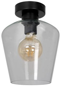 Plafoniera SANTIAGO 1xE27/60W/230V limpida