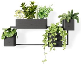 Vasi di plastica sospesi per erbe aromatiche in set di 4 pezzi Cubiko - Umbra