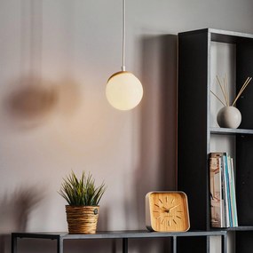 Eko-Light Lampada a sospensione Sfera a 1 luce vetro/legno chiaro