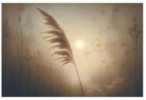 Quadro su tela – Canna in alba nebbiosa