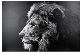 Quadro leone di profilo in bianco e nero Atmosphera Leone Tela Decorativo (118 x 78 x 3,5 cm)