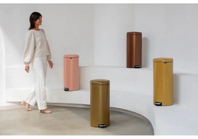 Cestino per la spazzatura dorato in acciaio con pedale 30 l NewIcon – Brabantia