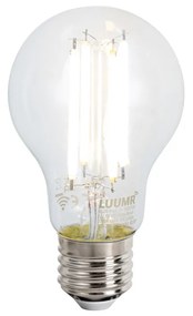 Lampada da terra smart nera inclusa WiFi A60 vetro fumé - Bliss