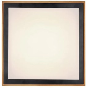 Globo 41764-24Q - Plafoniera LED BRUNO LED/24W/230V 3000/4500/6000K