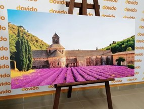Stampa su tela – Provenza con campi di lavanda