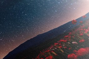 Quadro su tela – Prato di papaveri selvatici sotto le stelle