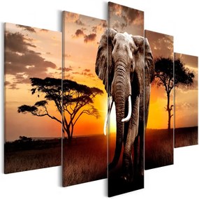 Quadro Wandering Elephant (5 Parts) Wide  Colore Arancione, Dimensioni e Misure 225x100