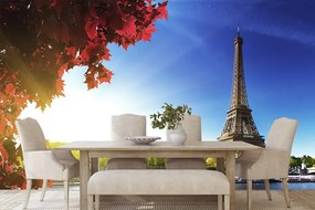 Carta da parati – Parigi autunnale