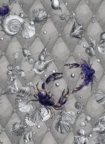 Edmond Petit Carta da parati Coquillage & Crustacés - RM116-02 - Gris