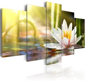 Quadro  Sunny Lotus  Colore Verde, Dimensioni e Misure 200x100