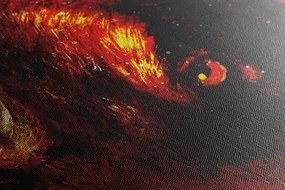 Stampa su tela – Lupo misterioso