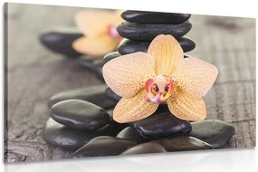 Quadro su tela – Orchidea gialla e pietre Zen
