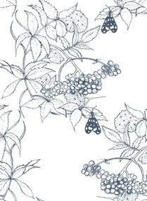 Ailanto Carta da parati Sambuco - Sketch Navy on White