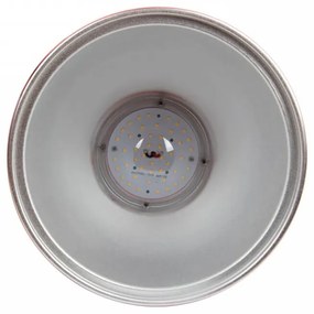 Campana LED a Sospensione 45W per Banco Carni, 110 lm/w - Philips Xitanium Colore Rosa Alimentare