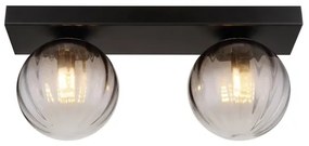 Globo 15216-2 - Plafoniera DALLERTA 2xG9/10W/230V