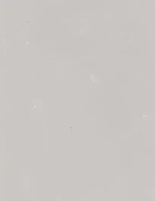terrastone original fein - 15kg - beton1