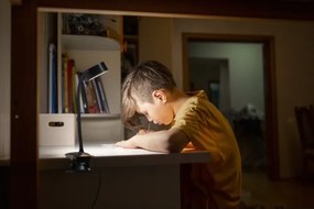 Osram - Lampada da tavolo LED dimmerabile con clip OFFICE LINE LED/4,8W/230V nera