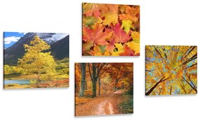 Set di quadri – Natura autunnale in colori splendidi
