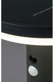 Rabalux 77017 - Luce solare a LED con sensore ALASKA LED/10W/3,7V IP44