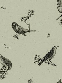 Coordonne Carta da parati Sweet Birds - Matcha