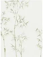 Wandbild Arashiyama von Sandberg - Green